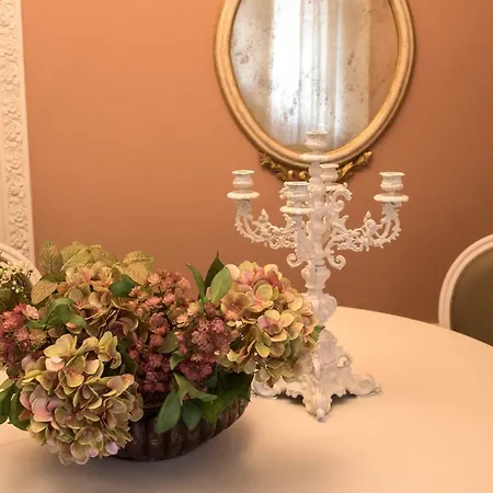 Ca' Dri 公寓 威尼斯